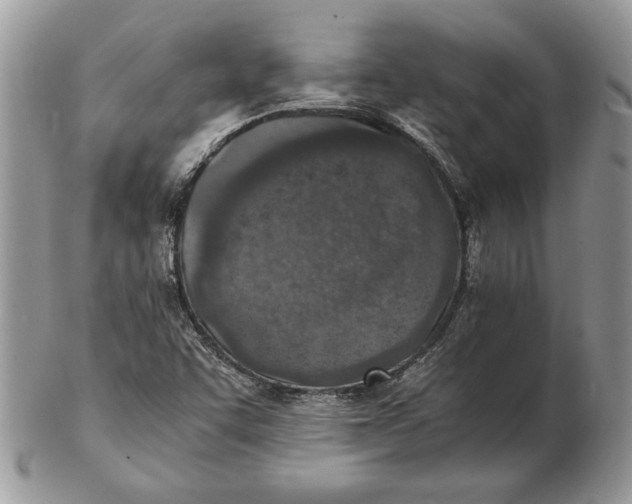 X0000102391455200808221814