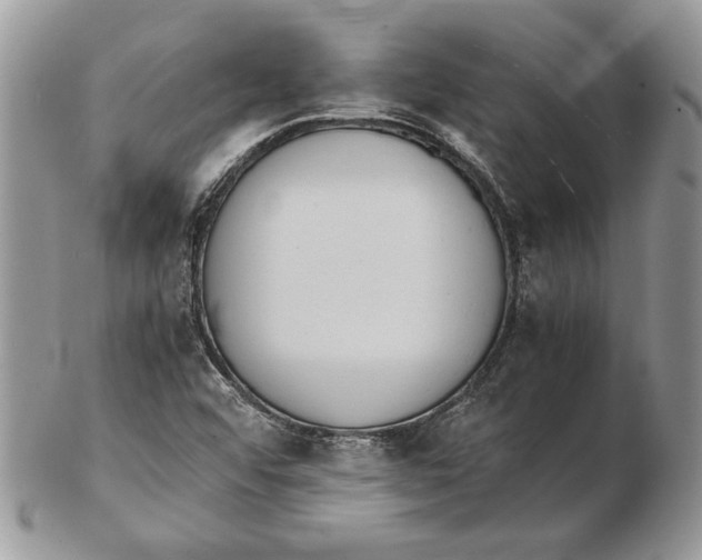 X0000102391456200808221814