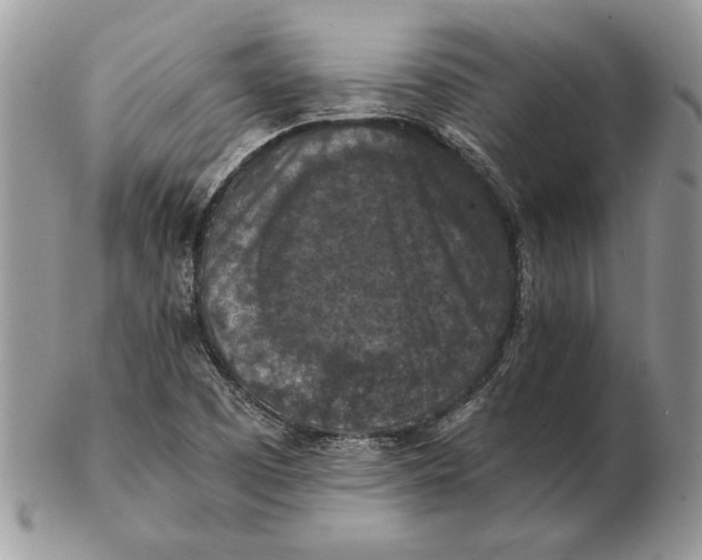 X0000102391457200808221814