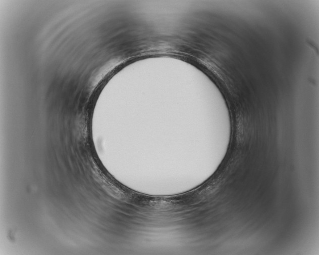 X0000102391458200808221814