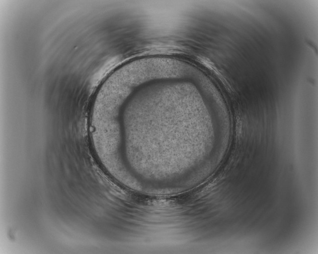 X0000102391459200808221814