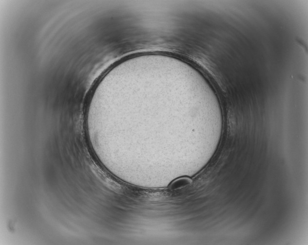 X0000102391460200808221814