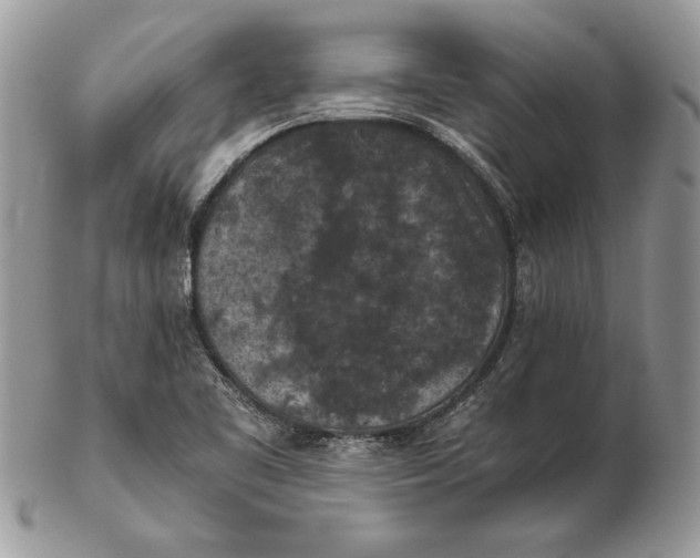 X0000102391461200808221814