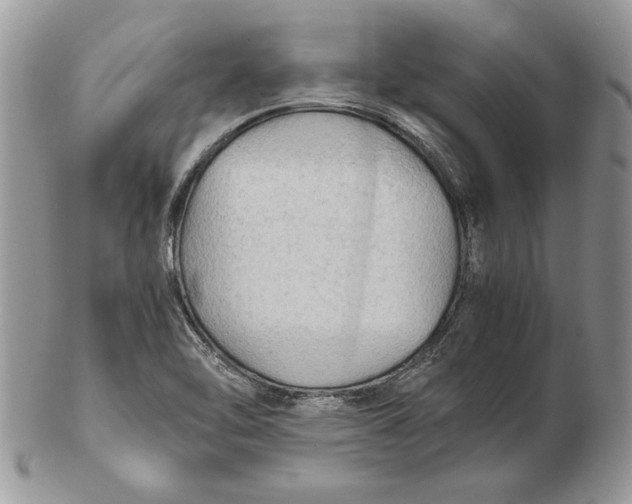 X0000102391462200808221814