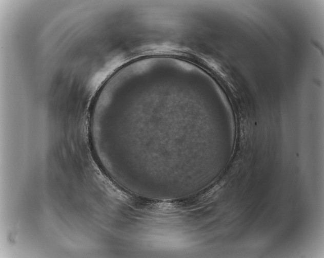 X0000102391463200808221814