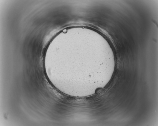 X0000102391464200808221814