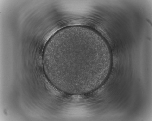 X0000102391465200808221814