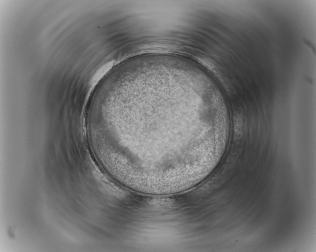 X0000102391466200808221814