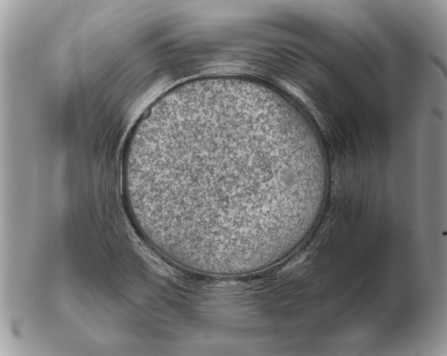 X0000102391467200808221814