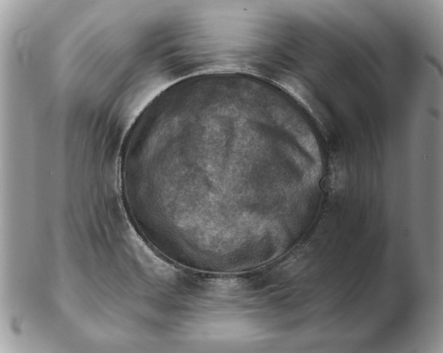 X0000102391468200808221814