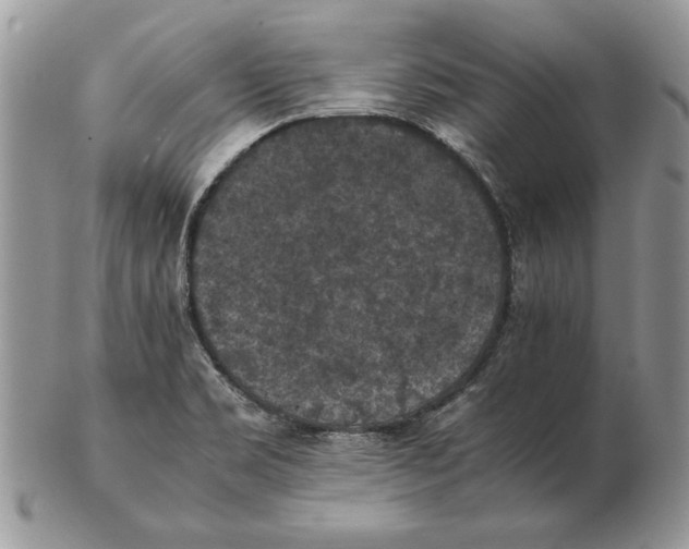 X0000102391469200808221814