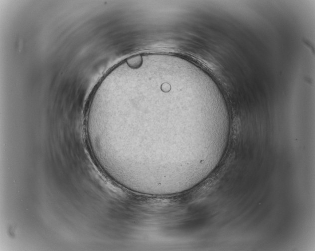 X0000102391470200808221814