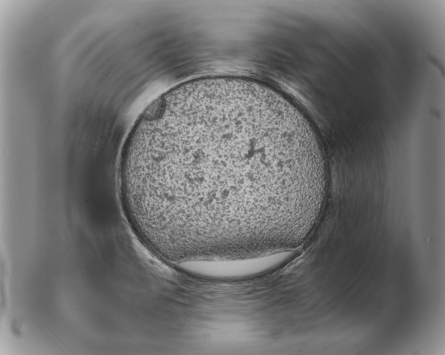 X0000102391471200808221813