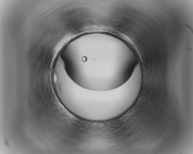 X0000102391472200808221813