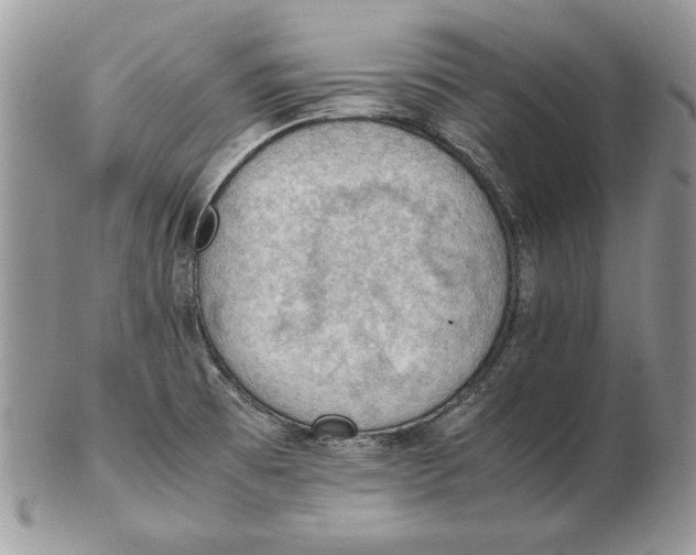 X0000102391473200808221813