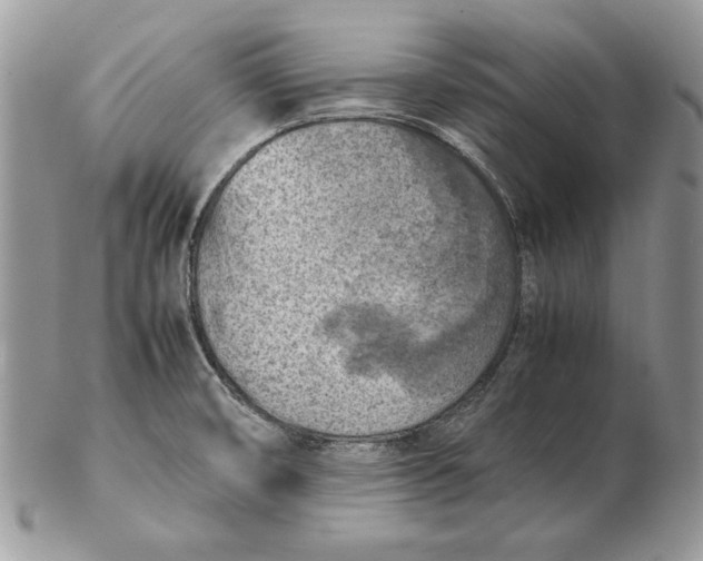 X0000102391474200808221813