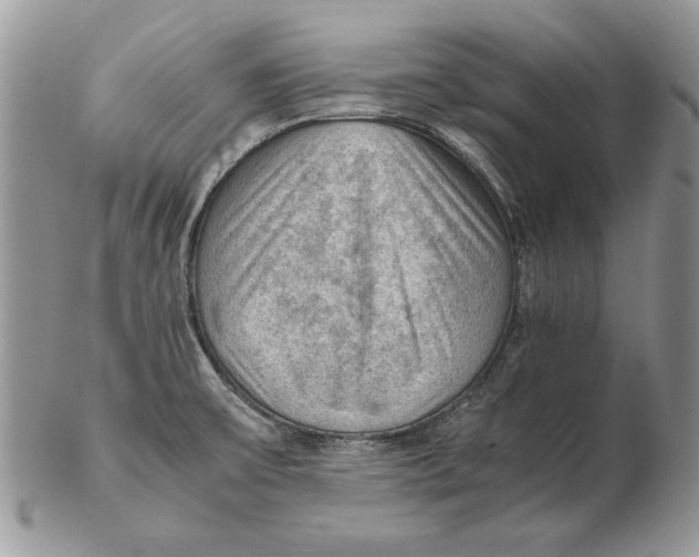 X0000102391475200808221813