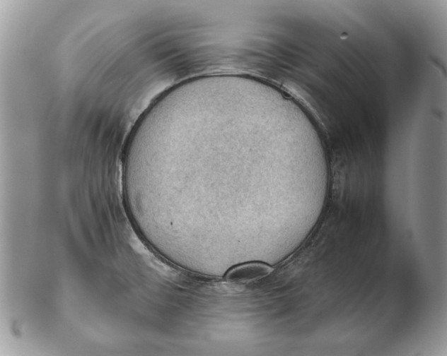 X0000102391476200808221813