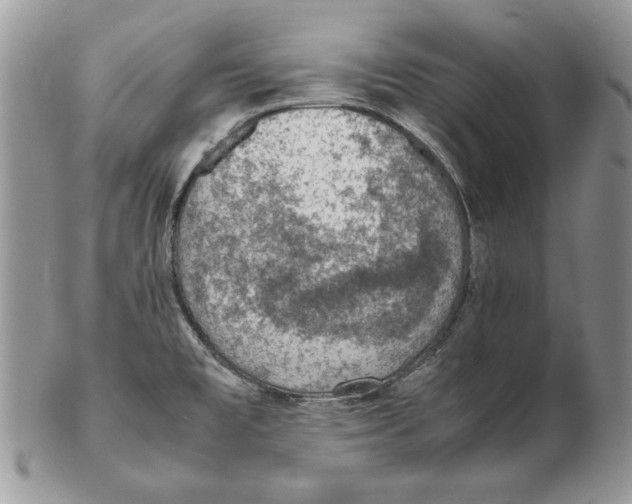 X0000102391477200808221813