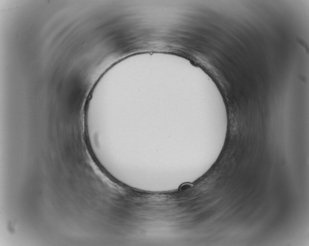 X0000102391479200808221813