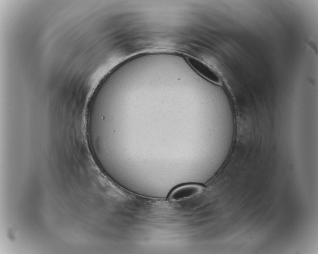 X0000102391480200808221813