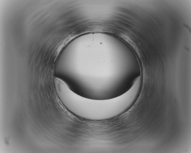 X0000102391481200808221813