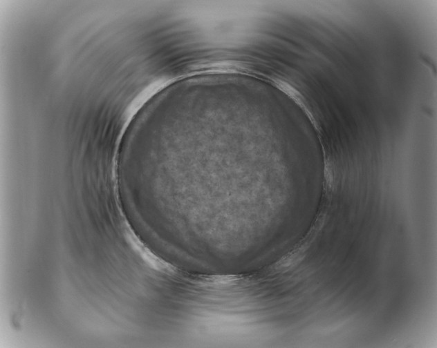 X0000102391482200808221813