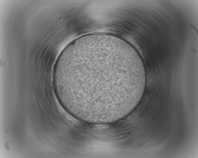 X0000102391483200808221813