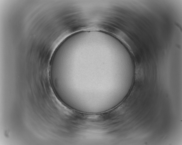 X0000102391484200808221813