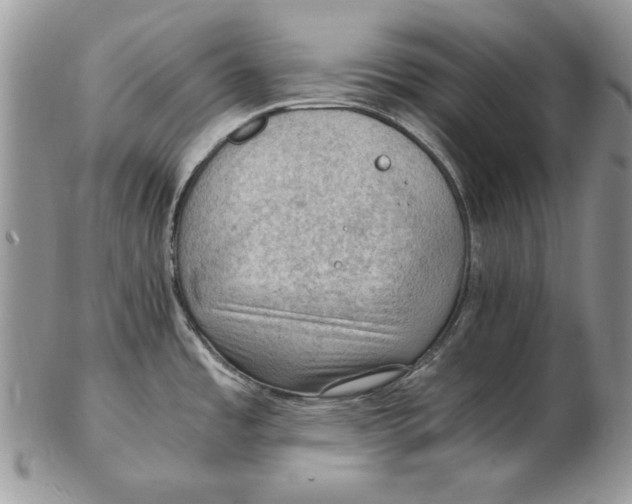 X0000102391485200808221813