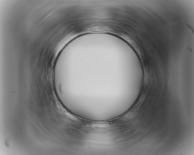 X0000102391486200808221813