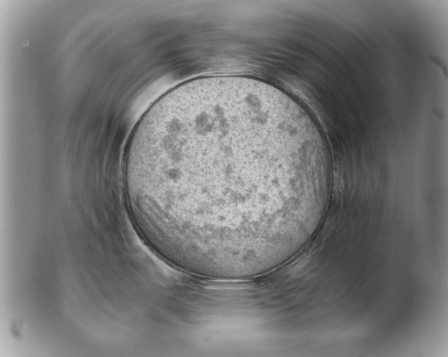 X0000102391487200808221813