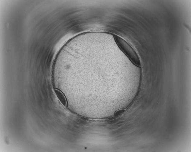 X0000102391488200808221813