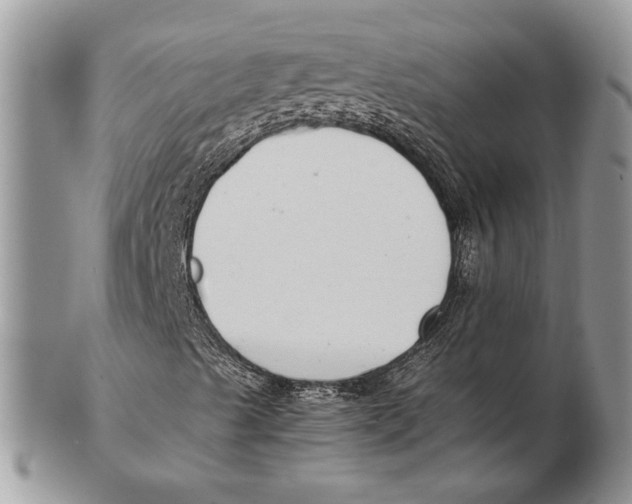 X0000102391489200808221812