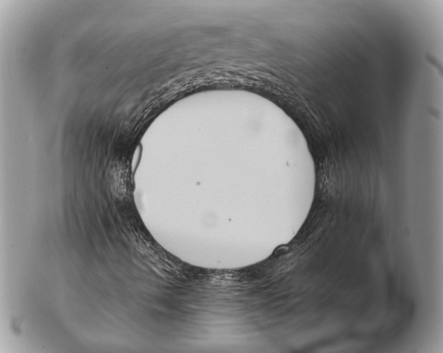 X0000102391490200808221812