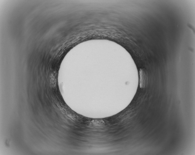 X0000102391491200808221812