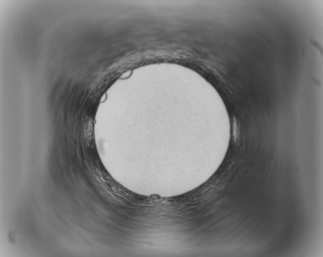 X0000102391492200808221812