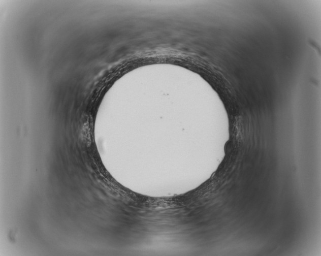 X0000102391493200808221812