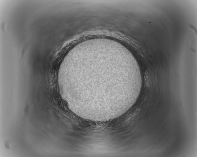 X0000102391494200808221813