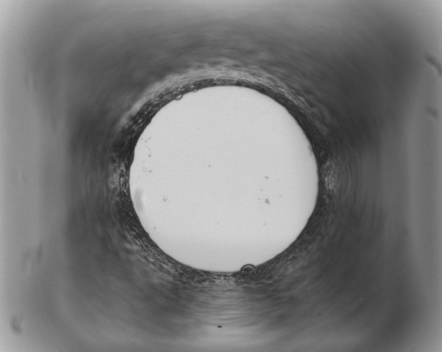 X0000102391495200808221813