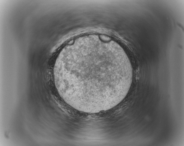 X0000102391496200808221813