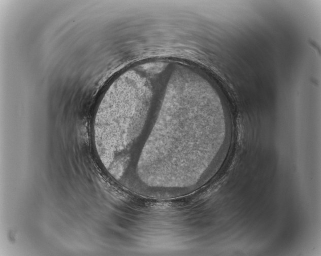 X0000102391497200808221813