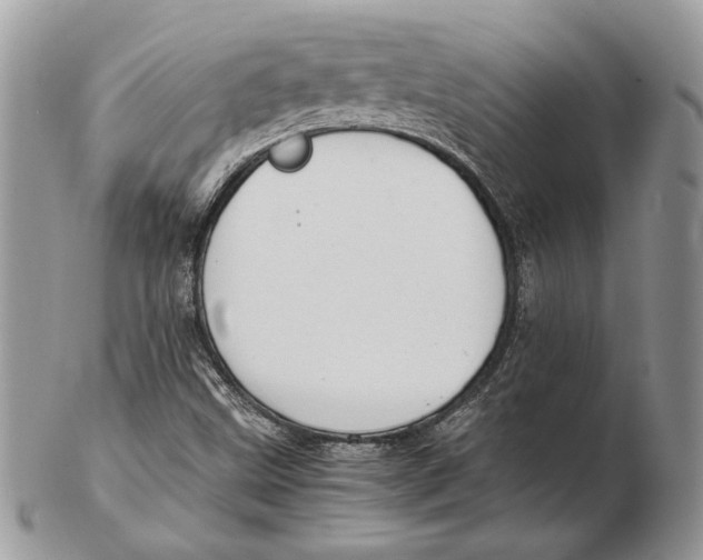 X0000102391499200808221813