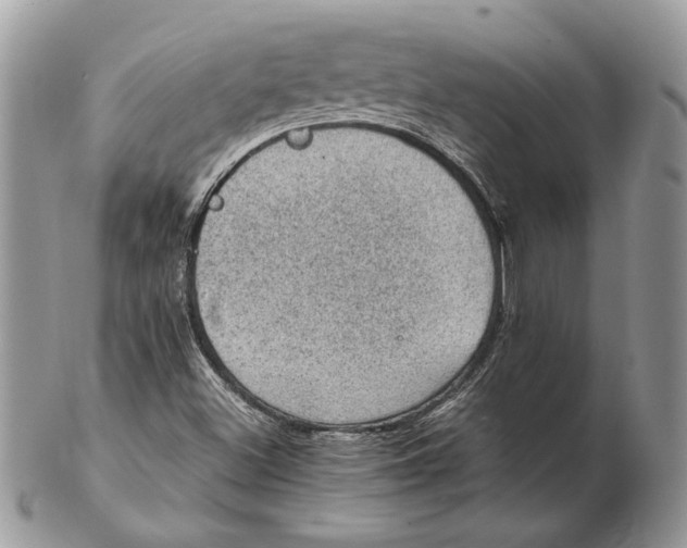 X0000102391500200808221813