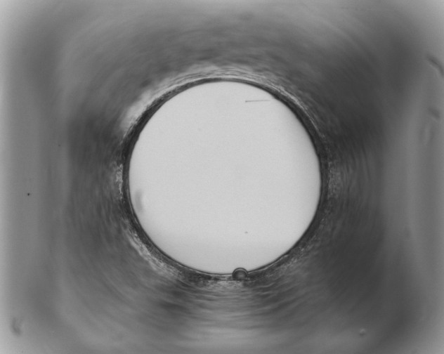 X0000102391503200808221813