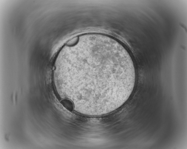 X0000102391504200808221813