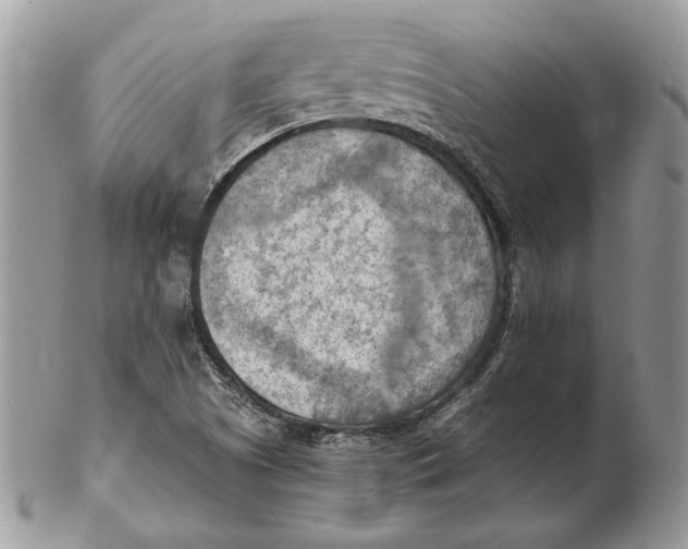 X0000102391505200808221813