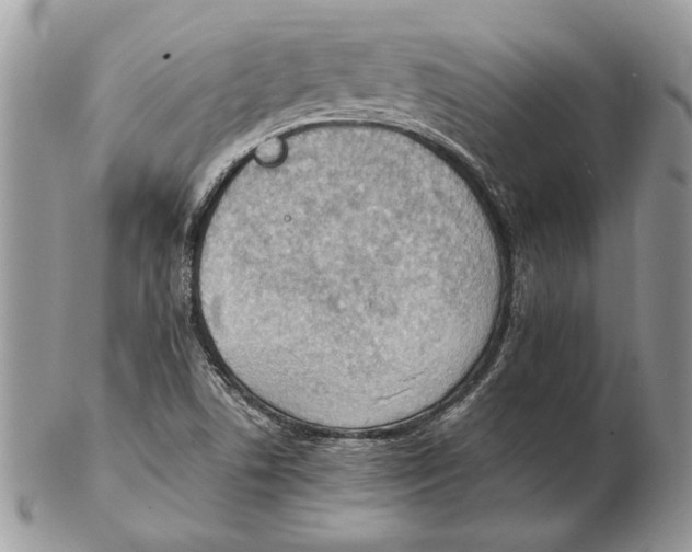 X0000102391506200808221813