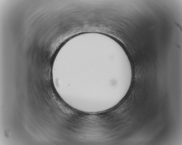 X0000102391507200808221813