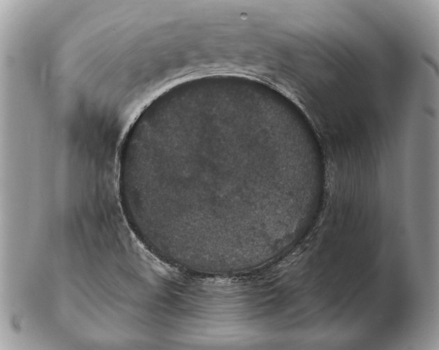 X0000102391508200808221813